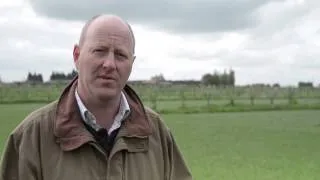 Benefits of agroforestry on a Cambridgeshire farm