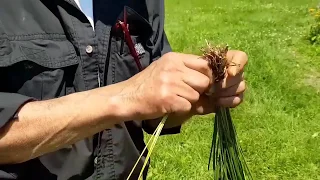 Dan Riegler Braiding Sweet Grass