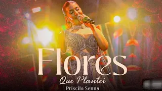 🟨 PRISCILA SENNA- FLORES QUE PLANTEI [AO VIVO MARCO ZERO RECIFE PERNAMBUCO]