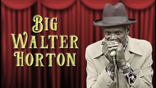 Big Walter Horton -  Louise - 1999