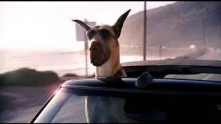 Marmaduke | Teaser Trailer (HD) | 20th Century FOX