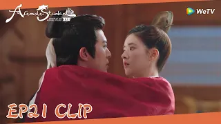 EP21 Clip |Yunzhi hugged Qi and walked away, warning Wenyuan to stay away from Qi!|国子监来了个女弟子|ENG SUB