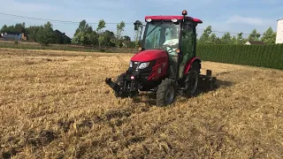 Talerzowanie ścierniska 🔥Zetor Comax ht35 😍