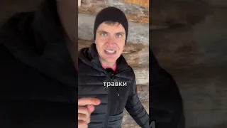 КАК НА 15м2 ЗАРАБАТЫВАТЬ 1млн РУБЛЕЙ🤯 #баняизбревна #кело #деревянныйдом #сухостойнаясосна #shorts