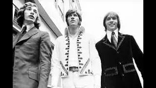 Bee Gees Idea (Vocal Track)