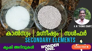 കാത്സ്യം | മഗ്നീഷ്യം | സൾഫർ | Secondary Elements | കൃഷി അറിവുകൾ | A. M. Thomas