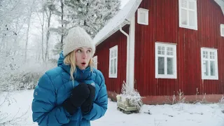 -24°C Reality of Swedish Winter. Toilet Upgrade, Unwanted Visitors, Christmas Gifts