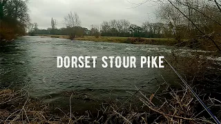 Big Pike On A Fly | Fly Fishing For Pike | Dorset Stour