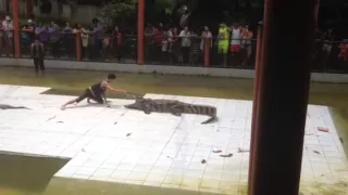 Crocodile nearly eats stunt mans arm! SO CLOSE!