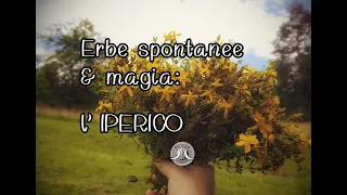 Erbe Spontanee & Magia - l' IPERICO ( + tutorial Oleolito)