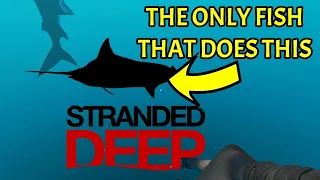 Stranded Deep - Why Does The Marlin Sink?