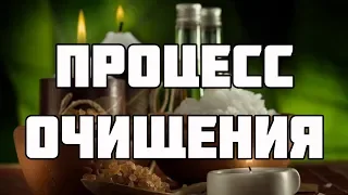 Как наиболее благоприятно пройти процесс очищения? - Александр Хакимов - 05.2015, Краснодар