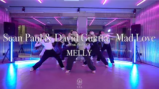 MELLY Choreography / Sean Paul & David Guetta - Mad Love (Feat. Becky G)