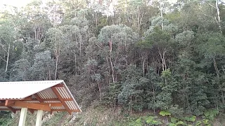 Barrington Tops Lookout Yowie Bigfoot Hairyman Search