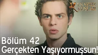 Kanatsız Kuşlar 42. Bölüm - Gerçekten yaşıyorsun!