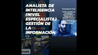 analista de inteligencia