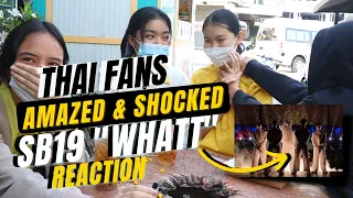 Thai Fans react SB19 - WHAT? [ROUND FESTIVAL]