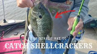 EASY Way To Catch Shellcracker All Summer Long! #fishing  #fishingvideo