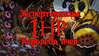 Королева Пчел БЕЗ получения урона! [Монтаж]