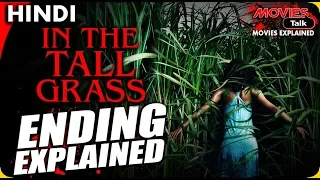 IN THE TALL GRASS : Ending Explained In Hindi