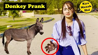 Donkey Prank | Pranks In Pakistan | Humanitarians