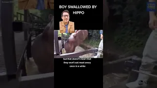 Boy swallowed by hippo