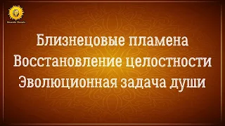 Близнецовые пламена восстановление целостности. Эволюционная задача души. Александр Шемец