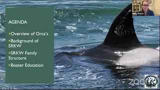 World Whale Day 2022: Southern Resident Killer Whales