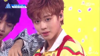 Becoming Wanna One Was Not Easy (Park Jihoon Version)