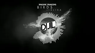 Imagine Dragons - Birds (DJ Lice Remix)