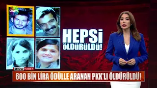 600 bin Lira ödülle aranan PKK'lı öldürüldü!