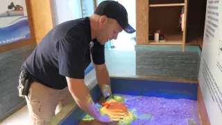 Behind the Scenes: Kinetic Sand Table Fabrication