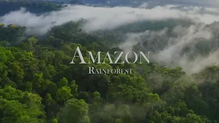 Amazon Tropical -The World No.1|Rainforest