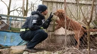 100+ Animals Rescued from Neglect