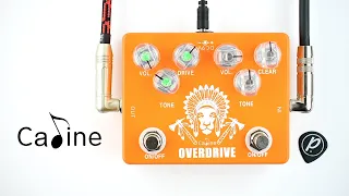 Caline CP-70 High Chief Overdrive Boost