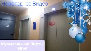 [ Новогоднее Видео 2024 🎄 ] Музыкальные Лифты NLM г. Набережные Челны. (В моём доме) Часть 1.