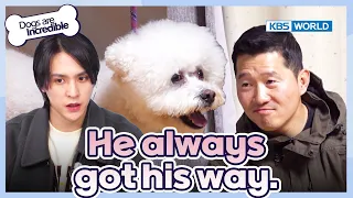 He always got his way😤 [Dogs Are Incredible : EP.213-3] | KBS WORLD TV 240402
