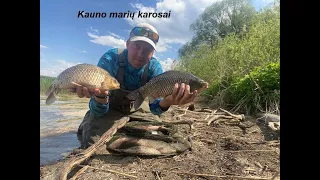 Kauno marių karosai