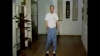 Grandmaster Moy Yat Performs Siu Nim Tao | Wing Chun Kung Fu First Form