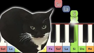 Maxwell le chat - Piano facile