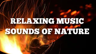 30 MINUTES OF BEAUTIFUL MUSIC TO THE SOUNDS OF NATURE🕊️🏞️🔥2021|