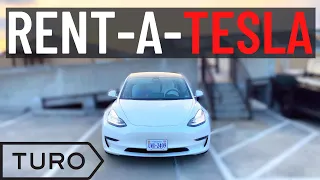 RENTING A TESLA MODEL 3 FROM TURO CAR RENTAL APP! [MY EXPERIENCE]