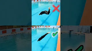 Avoid this Mistake ❌ and Learn Perfect Swimming Dive 🏊 Swimming Tips for Beginners #swimming