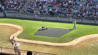 Crocodile show at Australia Zoo