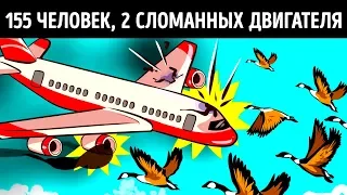 Чудо, которое спасло 155 человек, когда птицы разрушили двигатели самолета