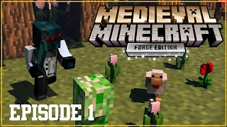 Medieval Minecraft!!! capitulo 1. Encontramos un faro!!
