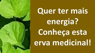 Quer melhorar a energia? Conheça esta erva medicinal! | Dr. Marco Menelau