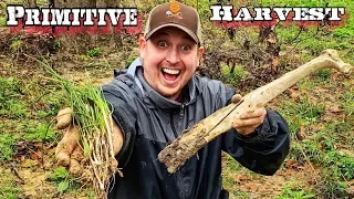 7 Day $100 Walmart Survival Challenge - Day 4 - Primitive Wild Survival Food