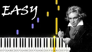 Für Elise | Beethoven | EASY PIANO TUTORIAL + SHEET MUSIC by Andantino [4K]