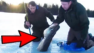 Ice Fishing - Catching BIG fish through the ICE